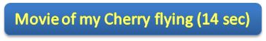 Movie of my Cherry flying